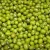 Import Green Mung Beans / Green Gram /Moong Dal / Vigna Beans (Red Ruby) from Belgium