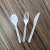 Import GreenWorks 6 inch  sturdy compostable Durable utensils CPLA disposable flatware set from China