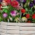 Import Handmade white hanging flower pots with plastic liners for garden to sale from China