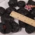 Import healthy chinese snacks xinjiang dried black plum fruit from China