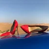 HeelTalk handmade luxury python skin pointed toe  leather sole 11.5cm women high heels dress shoes