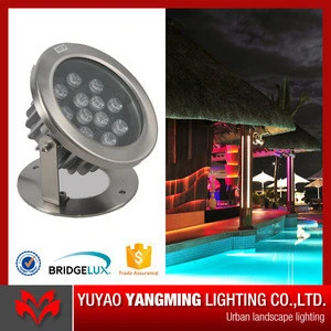High bright IP68 stainless steel warm white LED lamp source garden pool lighting