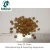 Import high quality Bitter Apricot Seed from China