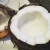 Import HIGH QUALITY FRESH YOUNG COCONUT FOR SALE from Ukraine