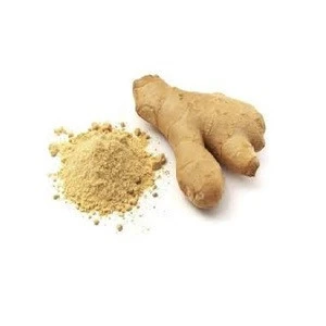 High Quality Ginger Powder