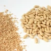High Quality Ground Nut Exporter Raw Shelled Fresh Peanuts