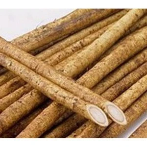 High Quality Natural Herbal Burdock Plant Extract