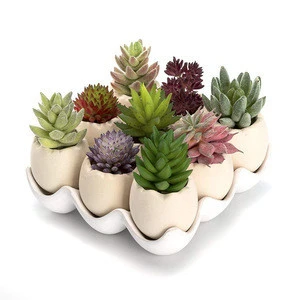 High quality white ceramic succulent flower planter with tray