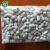 Import highest quality service delicious wholesale organic raw frozen peanuts in shell from China