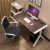 Home small office writing desk laptop PC table and modern design glass computer desk