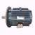 Import Hot sale 3 phase asynchronous squirrel cage induction motor from China