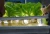 Import Hot sale 60*150cm plant growing trays Hydroponic nursery seeding flat Trays from China