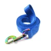 Hot Sale Dog Outdoor Play Anti Lost Rope Nylon Chain Leash Pet High Quality Dog Leash