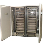 Hot Sale egg incubation machine automatic egg hatchery and incubation machines Solar energy machine egg incubator