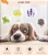 Hot Selling Pet Training Puppy Wee Pads Dog Sanitary Pads With Floral Scent