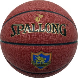 indoor and outdoor   training  basketball
