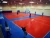 Import Indoor Interlocking Volleyball Court Floor from China