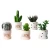 Import INS Style Plant Succulent Cactus  Decoration Small Bonsai Artificial Plants from China
