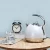 Import Instant Hot Water kettle induction water kettle kitchen appliance from China