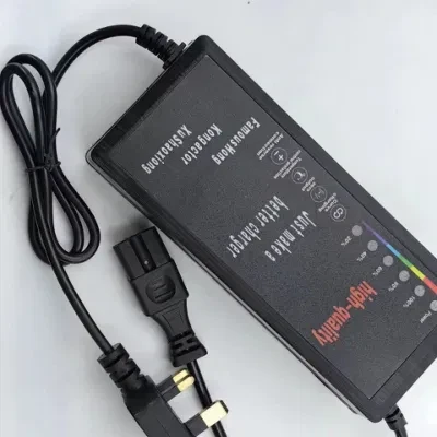 Intelligent Portable /48V5a/Lead Acid Lithium/ LiFePO4 Battery Charger/ for Lawn Tractor/Electric Scooter