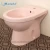 Import Japanese toilet bidet for porcelain bidet from China