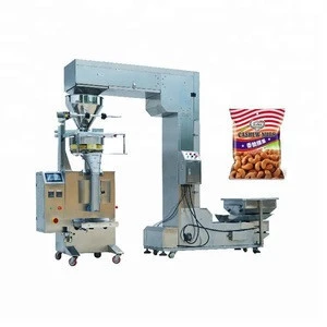 JB-300K automatic 50-500g cashew nut pouch packing machine,washing  powder packaging machine