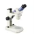 Import JSZ5 Binocular zoom stereo microscope for industry from China