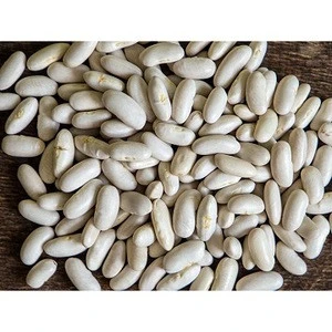 Kidney Beans Suggar Beans, White Kidney beans,Light Speckled Kidney Beans