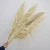 Import Korean ins Nordic style white reed pampas immortal imitation flower dried flower decoration from China