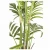Import Lifelike 2.0m Indoor Decoration Artificial Hawaii Palm Tree Plant from China
