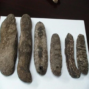Low price Dried Sea Cucumber
