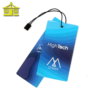 Luxury China New Design Brand Printing Custom Paper Hang Price Clothing Tag