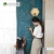 Import Magwall low MOQ Magnetic Peacock Green double-layer blackboard flexible PVC film chalkboard signs DRY ERASE BOARD from China