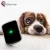Import mini gps pets whistle 3 gprs gps odm 4g gsm dog tracking device pet tracker for iphone from China