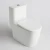Import Modern  floor standing bathroom WC water closet bangladesh price sanitary ware square one piece dual flush toilet from China