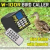MP3 Bird Decoy with Remote Control