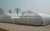 Import Multi span greenhouse for grow tomato from China