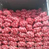 Nashik Premium Quality Dry Onion fresh from Farm