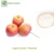 Import Natural and pure apple extract powder, 98% Phloretin Food flavor Cosmetic Ingredient from China