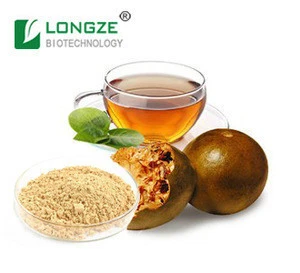 Natural Fruit &amp; Vegetable Powder Luo han guo extract / monk fruit extract powder with mogrosive V 20%