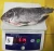 Import Nature Feature High Quality Whole Frozen Type Black Tilapia from China
