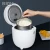Import New 2020 mini cute rice cooker portable rice cooker from China