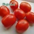 Import New Crop canned chopped plum peeled tomatoes factory supplier from China
