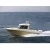 Import new design OCEANIA 23WA bateau cabin cruiser speed boat yacht1 from China