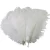 Import New style customized 14-16 Inch 35-40cm decorative ostrich feather cheap DIY jewelry accessories wedding decorations from China