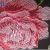 Import New Style High quality 3D Multi-color Floral Embroidery lace fabric from China