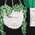 Import Newest Green Plant Pattern DIY Stamped Embroidery Starter Set Needlework Sewing Craft Embroidery Kits with Instructions from China