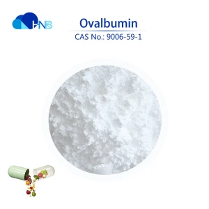 Nutrition supplement 98% Ovalbumin, Ovalbumin powder as good protein
