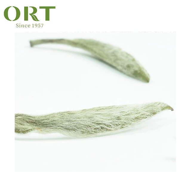 Organic Spring  Fuding Silver Needle Bai Hao Yin Zhen Loose Leaf White Tea