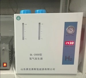PEM Hydrogen generator of gas equipment for GC usuage 2LPM 99.999% purity 4bar pressure